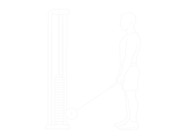 Cable Close-Grip Curl — Start