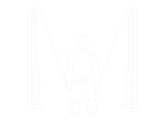 Cable Cross-Over Lateral Pulldown — End
