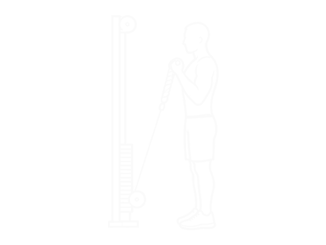Cable Hammer Curl (With Rope) — End