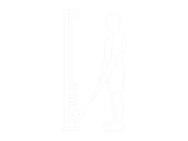 Cable Hammer Curl (With Rope) — Start