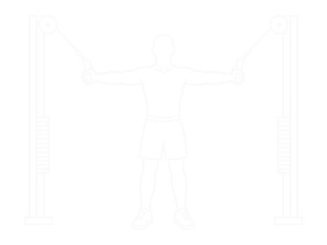 Cable High Curl — Start