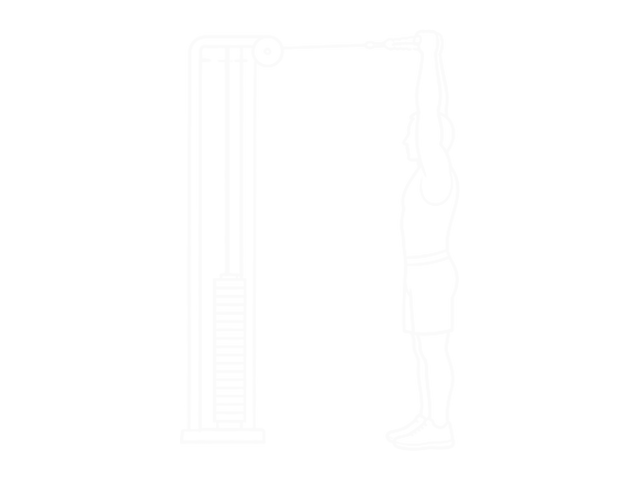 Cable High Pulley Overhead Triceps Extension — 끝