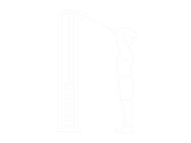 Cable High Pulley Overhead Triceps Extension — 시작