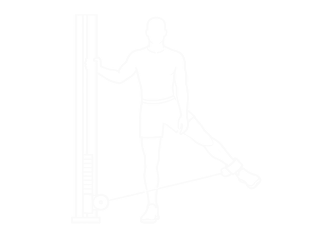 Cable Hip Adduction — Start