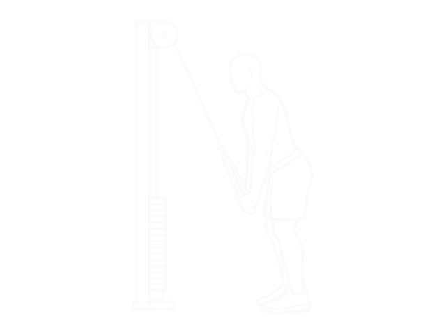 Incline Cable Pushdown — End