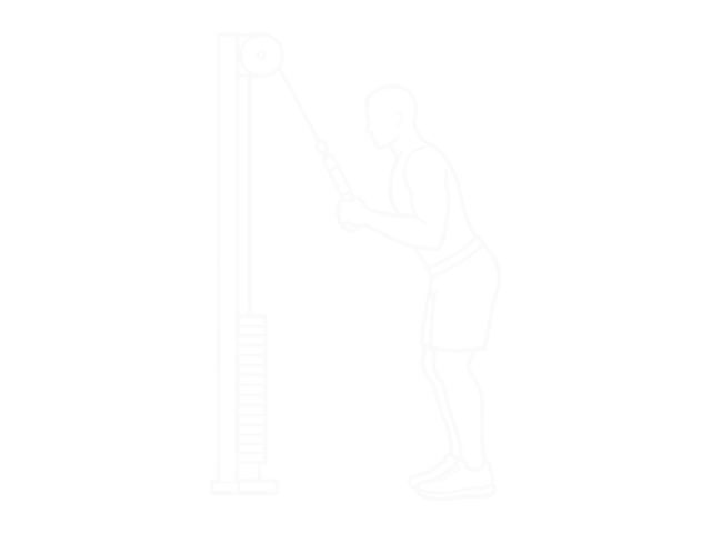 Incline Cable Pushdown — Start