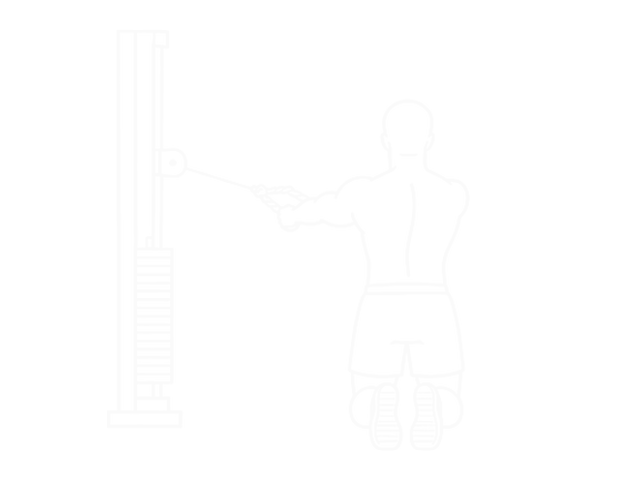 Kneeling Cable Rear Delt Row (With Rope) — Start