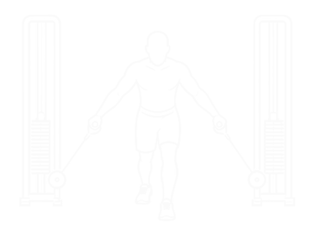 Cable Low Fly — Start