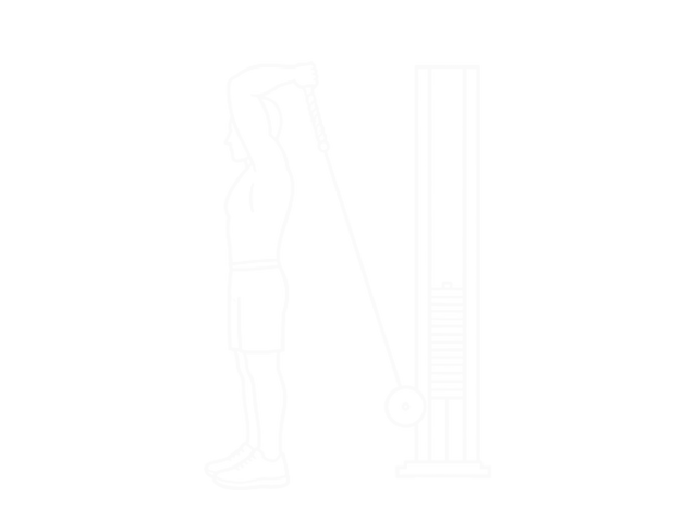 Cable Low-Pulley Triceps Extension — Start