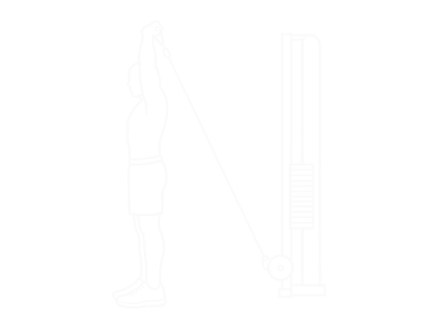Cable Low Triceps Extension — End