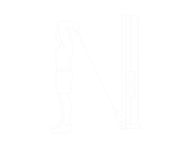 Cable Low Triceps Extension — Start