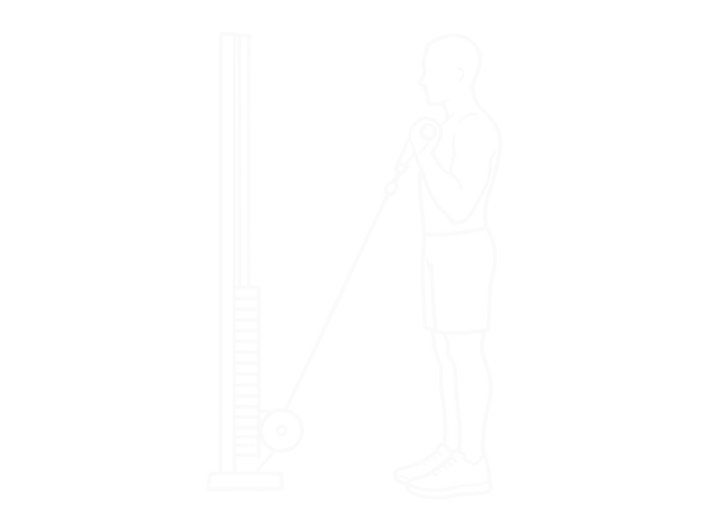 One-Arm Cable Curl — End