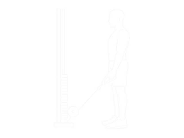 One-Arm Cable Curl — Start