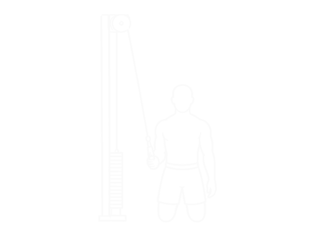 One-Arm Cable Pulldown — End
