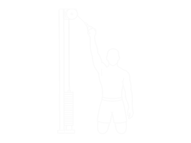 One-Arm Cable Pulldown — Start