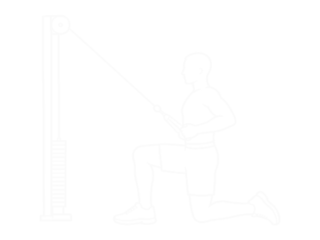 One-Arm Cable Straight Back High Row (Kneeling) — End