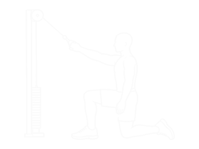 One-Arm Cable Straight Back High Row (Kneeling) — Start