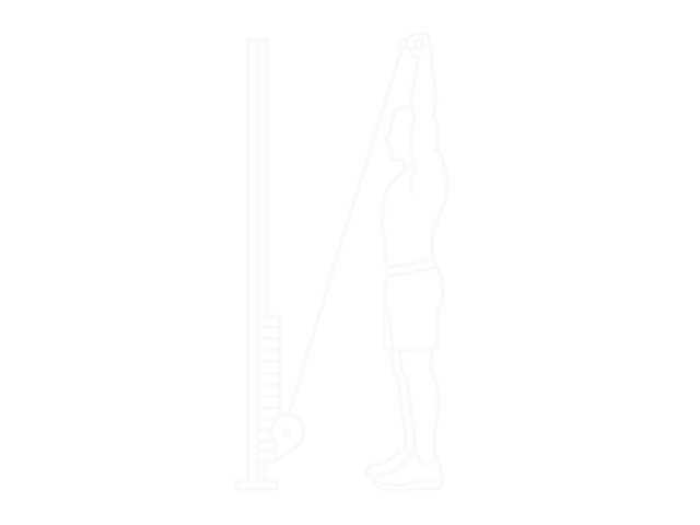 Overhead Cable Triceps Extension — 끝