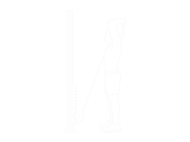 Overhead Cable Triceps Extension — 시작