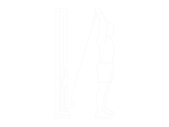 Overhead Cable Triceps Extension (Rope Attachment) — End