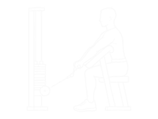 Cable Preacher Curl — 시작