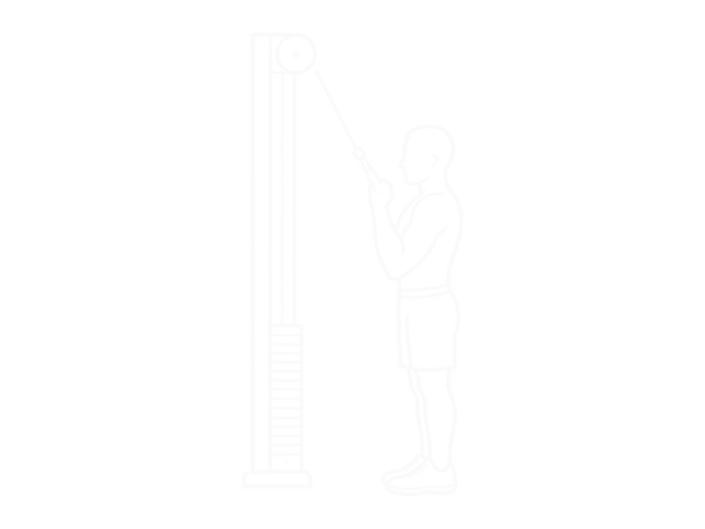 Cable Pulldown Biceps Curl — 끝