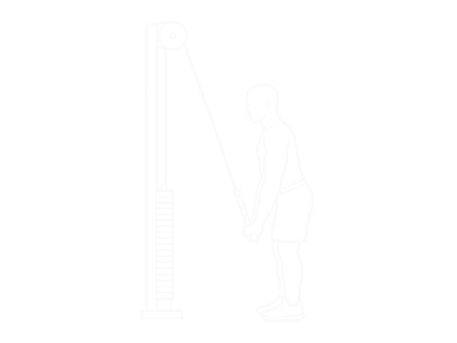 Cable Pushdown (Straight Arm) — End
