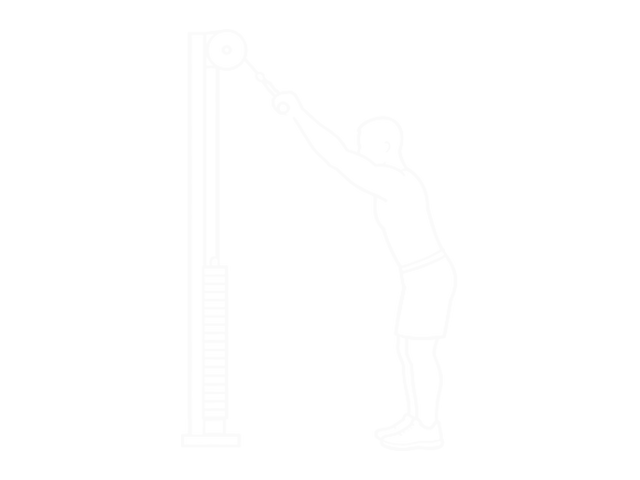 Cable Pushdown (Straight Arm) — Start