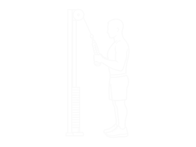 Cable Pushdown (With Rope Attachment) — Start