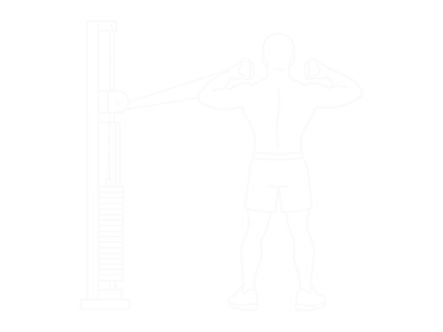 Cable Rear Delt Row (Stirrups) — End