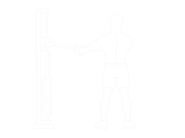 Cable Rear Delt Row (Stirrups) — Start
