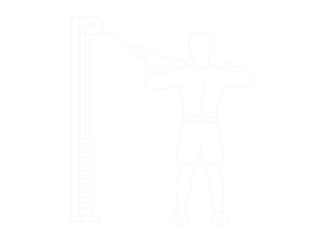 Cable Rear Delt Row (With Rope) — End
