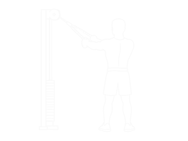 Cable Rear Delt Row (With Rope) — Start