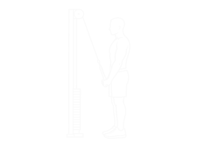 Cable Reverse-Grip Pushdown — End