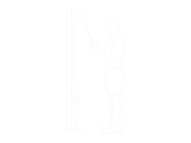 Cable Reverse-Grip Pushdown — Start
