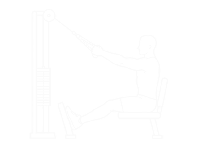 Cable Rope Elevated Seated Row — 시작