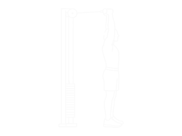 Cable Rope High Pulley Overhead Triceps Extension — End