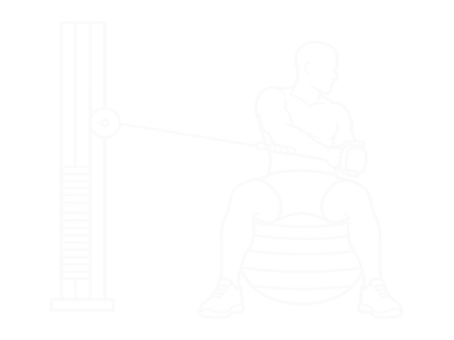 Cable Russian Twists (On Stability Ball) — End