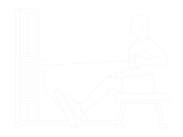 Seated One-Arm Cable Alternate Row — End