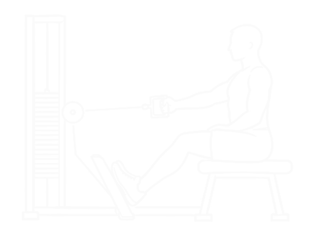 Seated One-Arm Cable Alternate Row — Start
