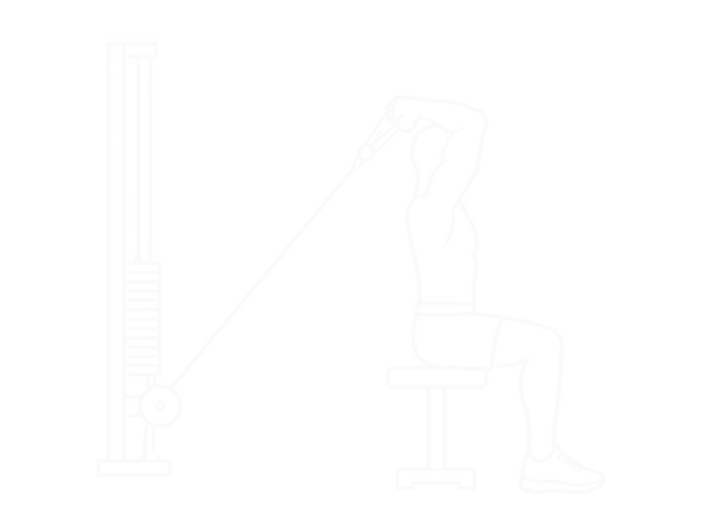 Seated Overhead Cable Curl — 끝
