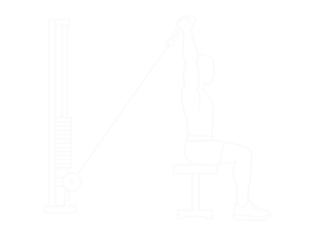 Seated Overhead Cable Curl — 시작