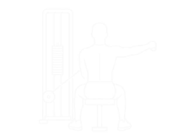 Seated Cable Rear Lateral Raise — End