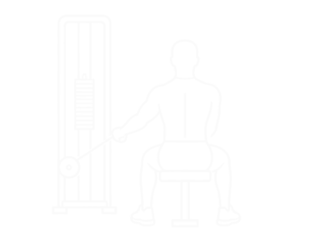 Seated Cable Rear Lateral Raise — Start