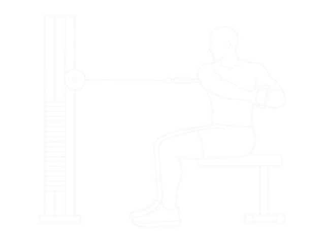 Seated Cable Twist — End