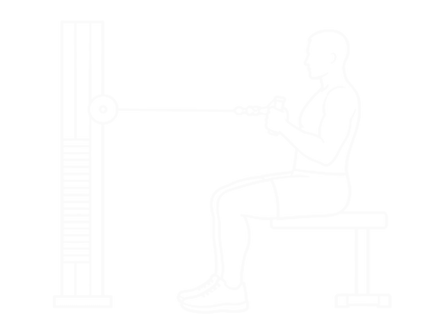 Seated Cable Twist — Start