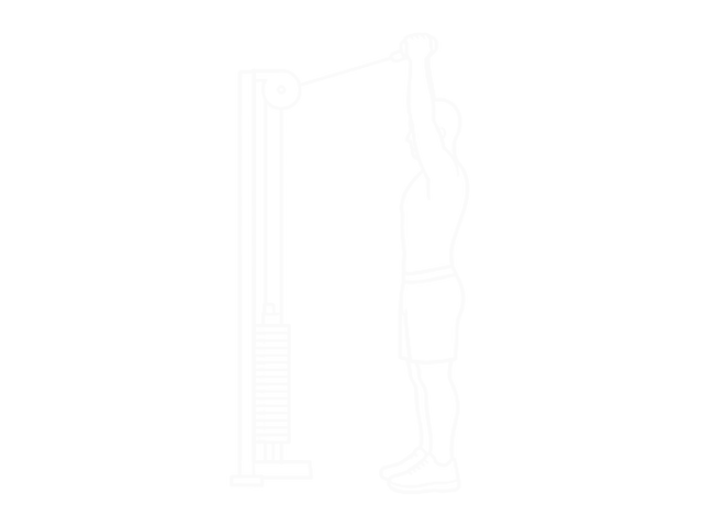 Cable Shoulder Press — 끝