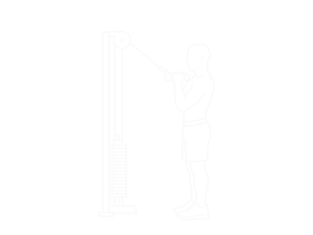 Cable Shoulder Press — 시작