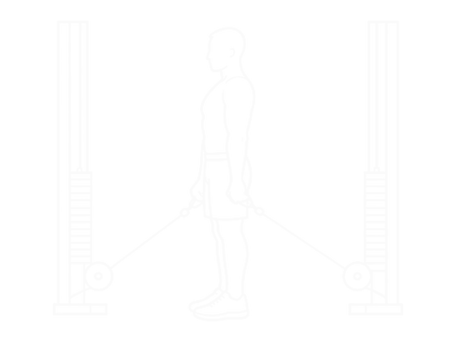 Cable Shrug — Start
