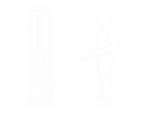 Cable Squat Row (With Rope Attachment) — End